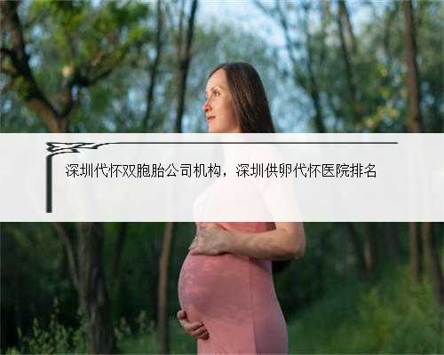 深圳代怀双胞胎公司机构，深圳供卵代怀医院排名