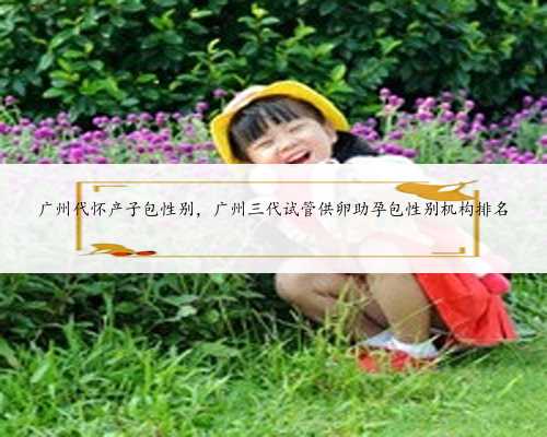 广州代怀产子包性别，广州三代试管供卵助孕包性别机构排名