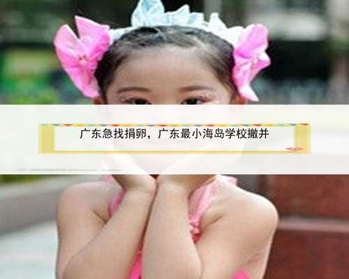 广东急找捐卵，广东最小海岛学校撤并
