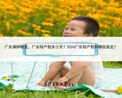 广东捐卵哪里，广东陪产假多少天？2024广东陪产假有哪些规定？