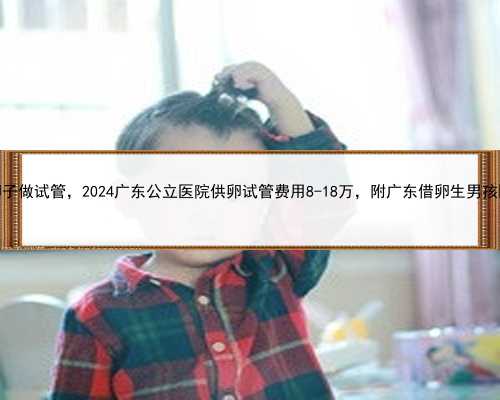 广东借卵子做试管，2024广东公立医院供卵试管费用8-18万，附广东借卵生男孩医