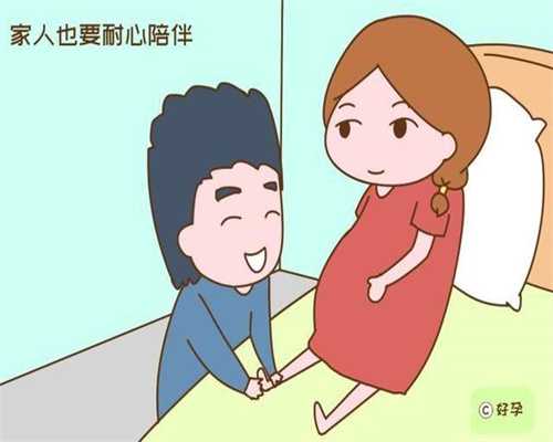 孕前检查爸爸的检查不可缺少_杭州哪个助孕机构