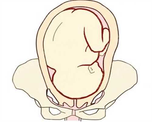 输卵管管径最狭窄~代孕中心哪间权威北京代怀孕